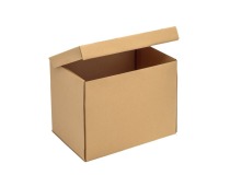 Karton wykrojnikowy 310x220x250mm A4